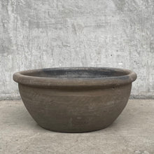 Tofu Bowl