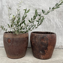 Coconut Timber Pot M