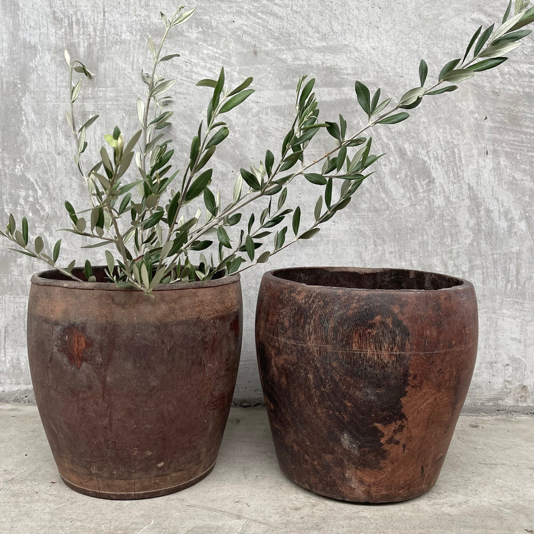 Coconut Timber Pot M