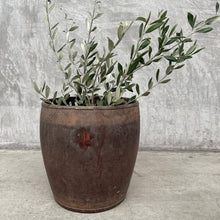 Coconut Timber Pot M