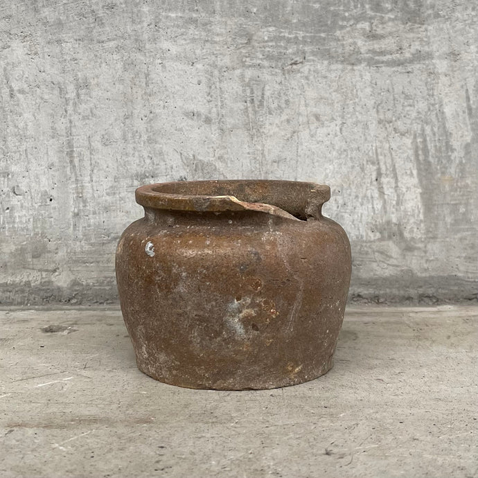 Terracotta Pot 2 - Borneo