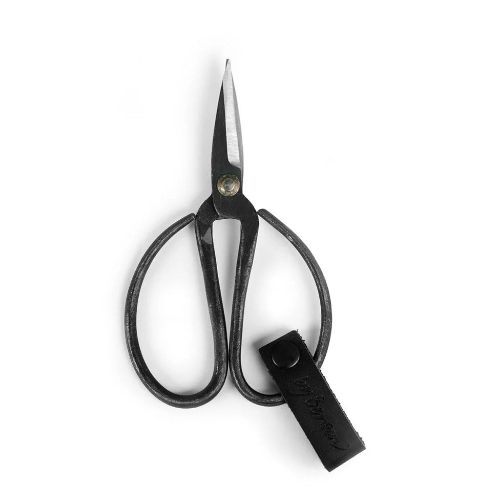 Sax Lux Scissors – Zuri