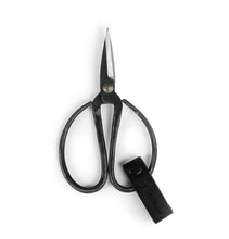 Sax Lux Scissors