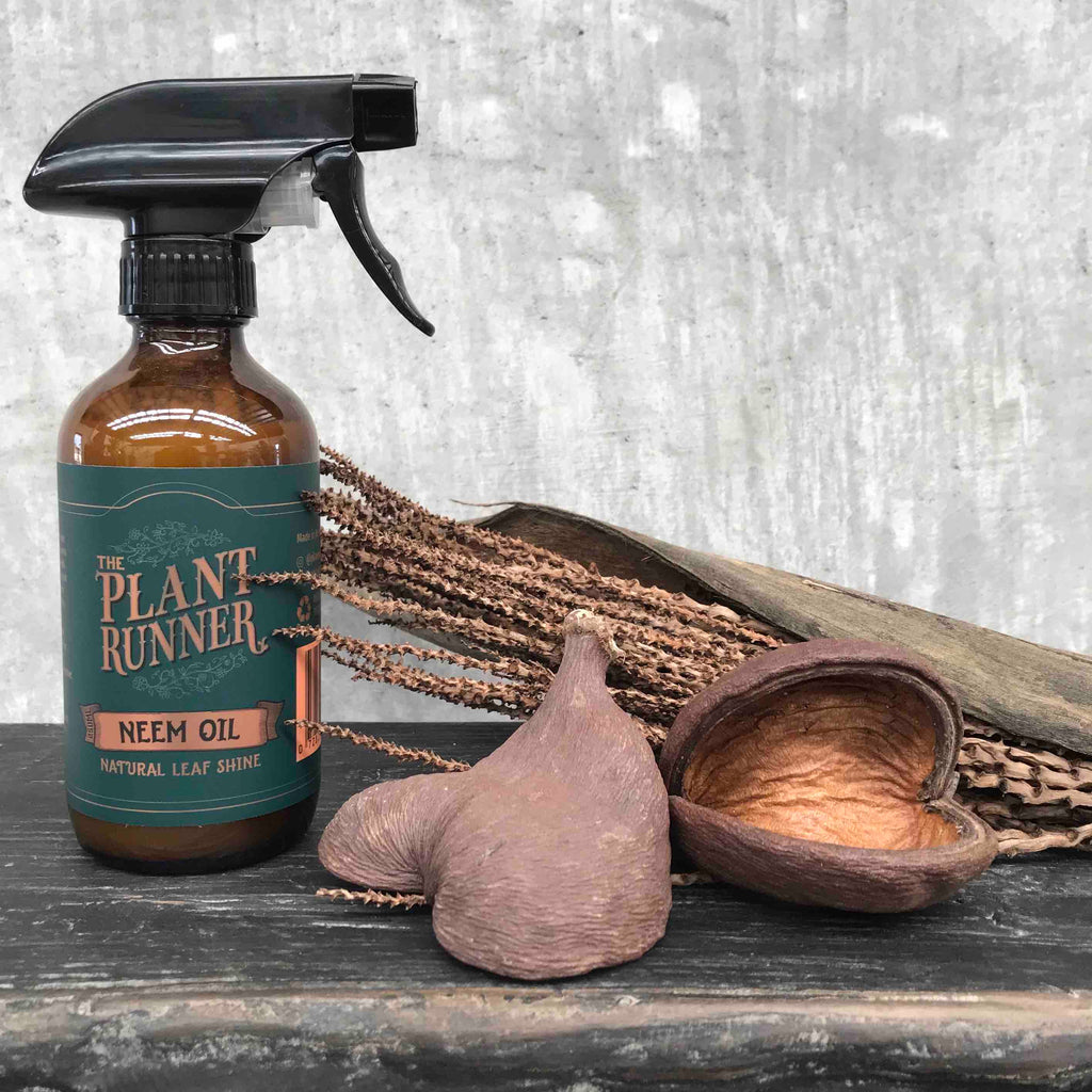 Plant Runner Neem Oil Zuri