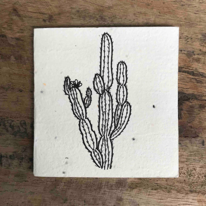 Plantable Gift Tag - Cactus Design